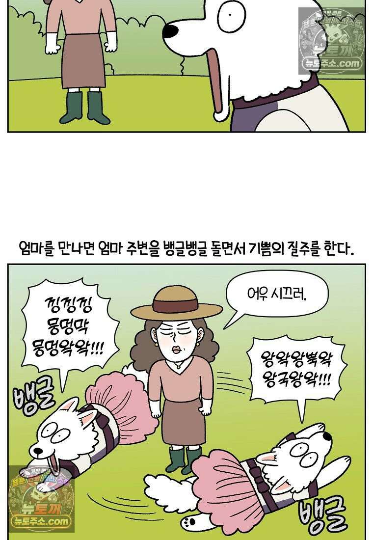 극한견주 시즌2 96화 공주 강아지 9