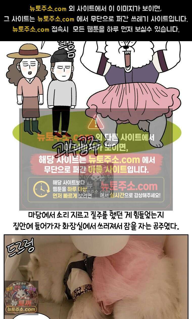 극한견주 시즌2 96화 공주 강아지 11