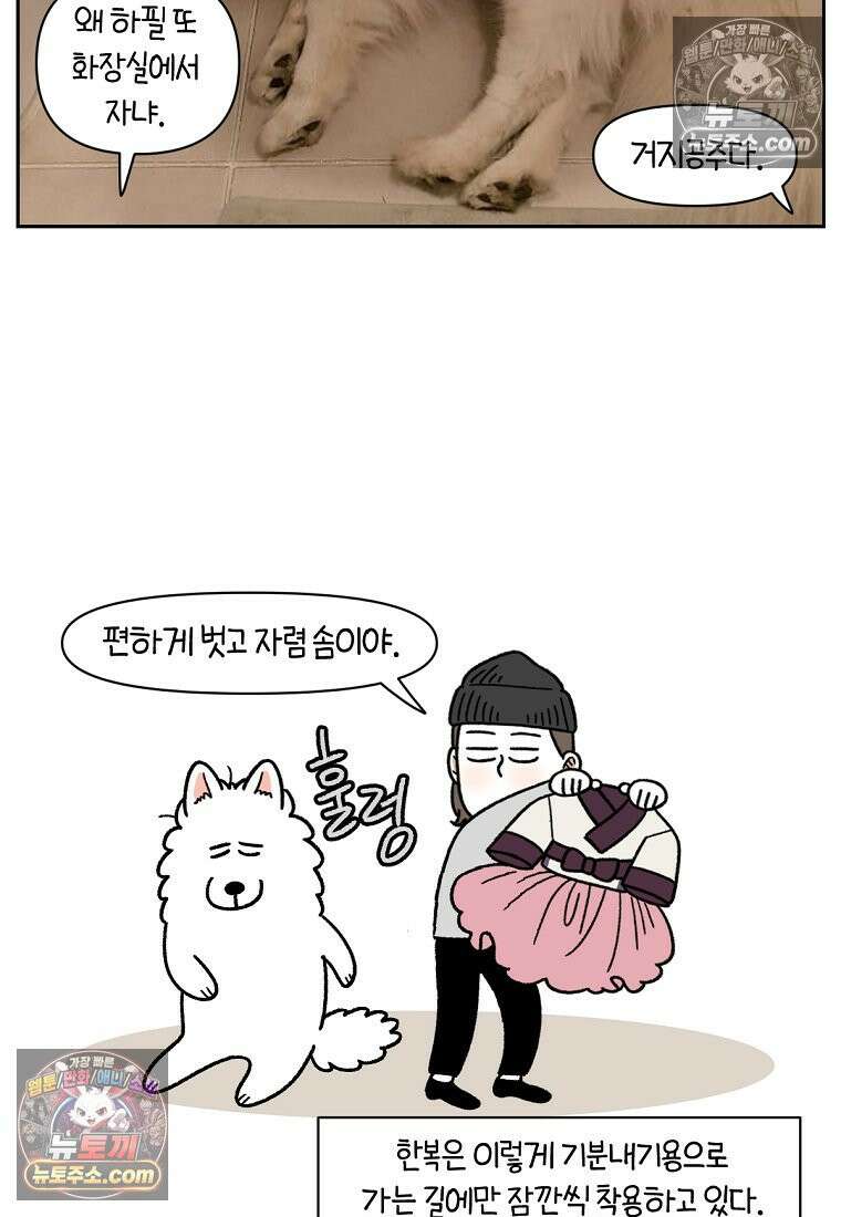 극한견주 시즌2 96화 공주 강아지 12