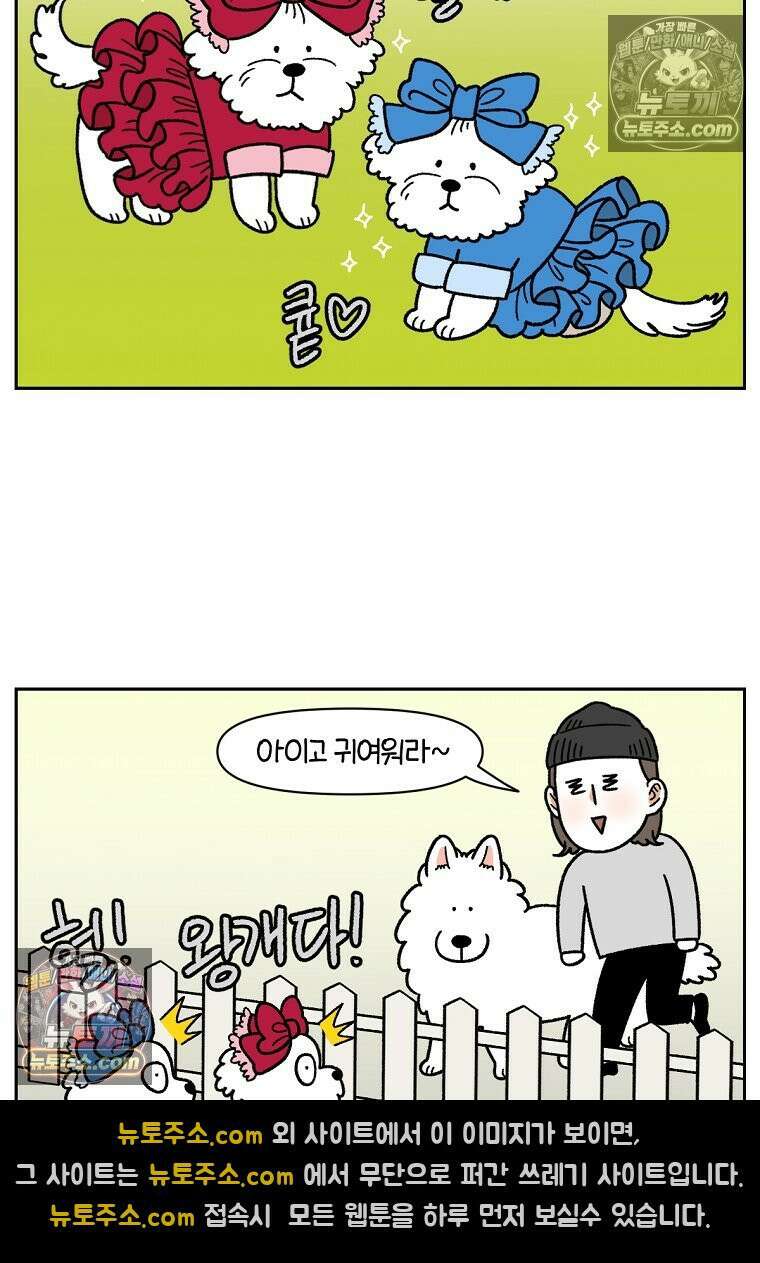 극한견주 시즌2 96화 공주 강아지 15