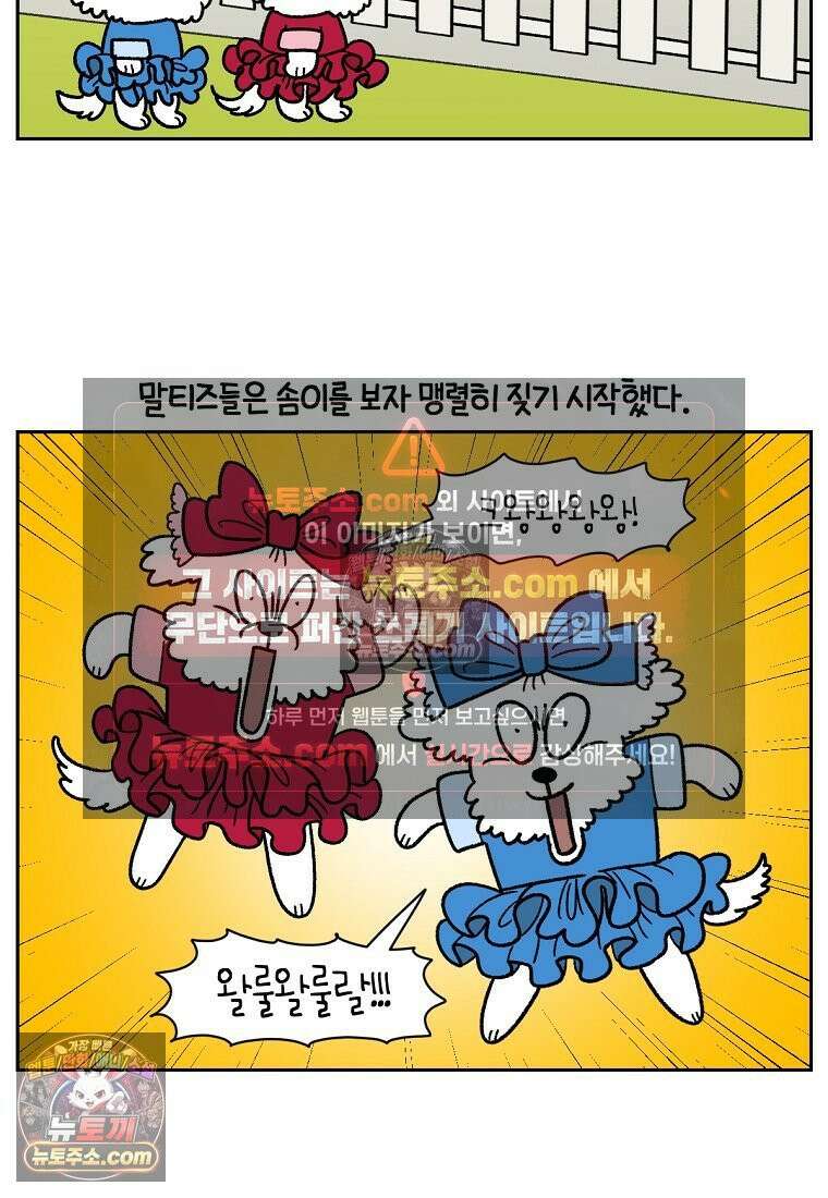 극한견주 시즌2 96화 공주 강아지 16