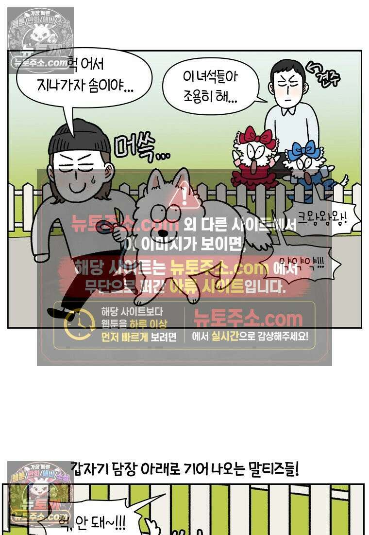 극한견주 시즌2 96화 공주 강아지 17