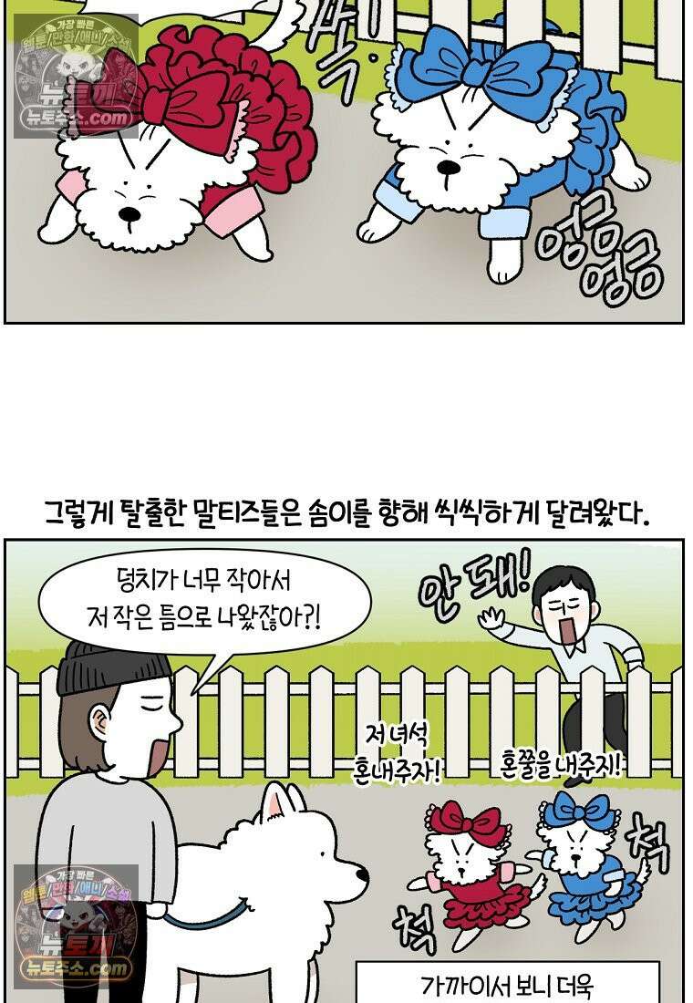 극한견주 시즌2 96화 공주 강아지 18