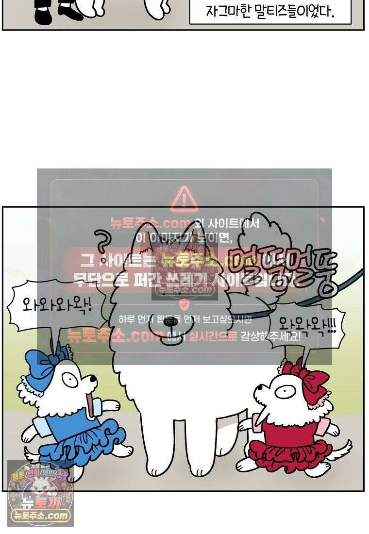 극한견주 시즌2 96화 공주 강아지 19