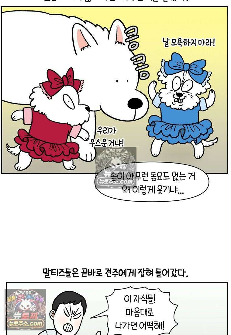 극한견주 시즌2 96화 공주 강아지 21