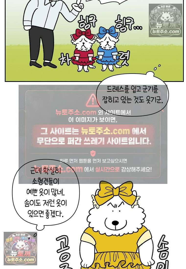 극한견주 시즌2 96화 공주 강아지 22