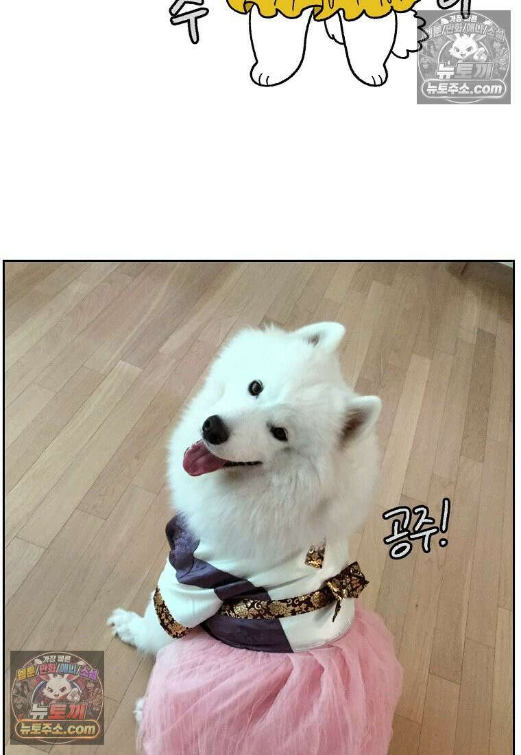 극한견주 시즌2 96화 공주 강아지 23