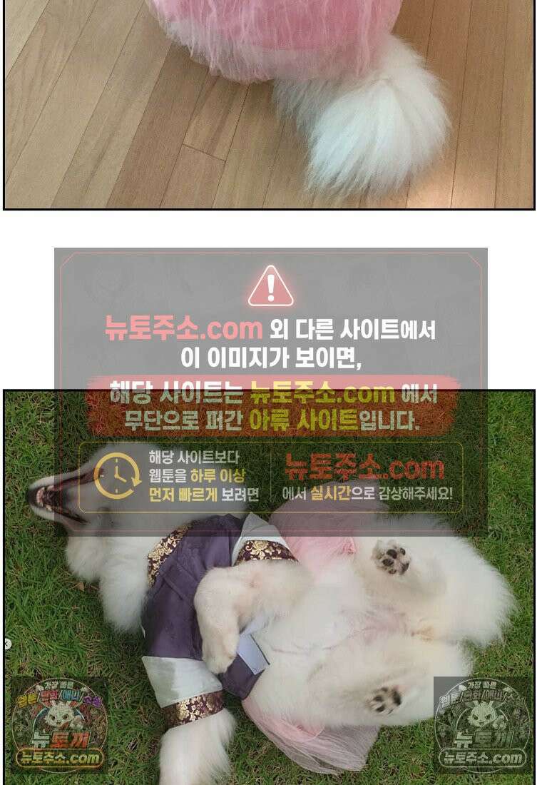 극한견주 시즌2 96화 공주 강아지 24