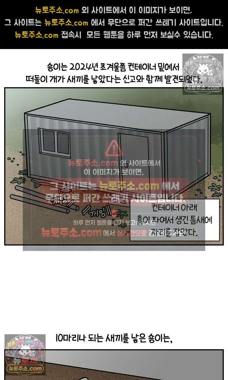 극한견주 시즌2 109화 숑이의 사연 2