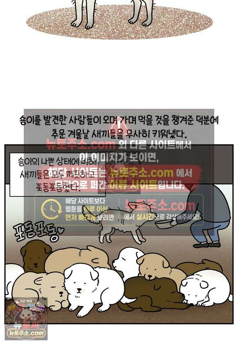 극한견주 시즌2 109화 숑이의 사연 4