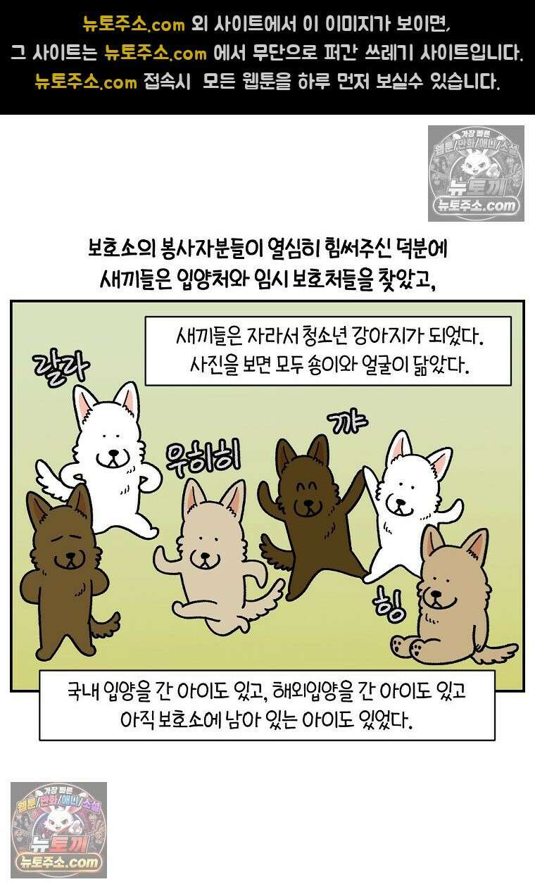 극한견주 시즌2 109화 숑이의 사연 5