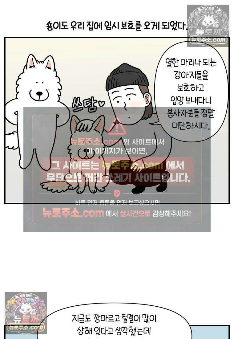 극한견주 시즌2 109화 숑이의 사연 6