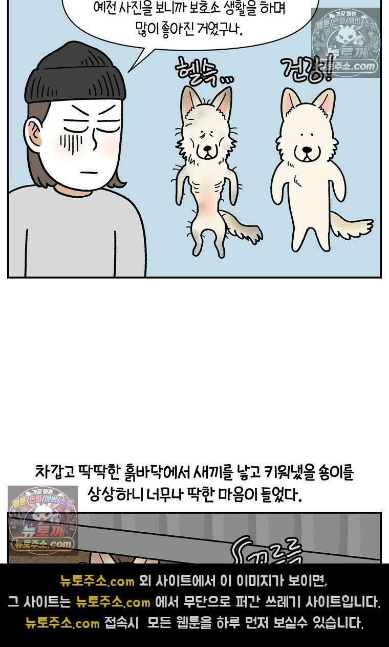 극한견주 시즌2 109화 숑이의 사연 7