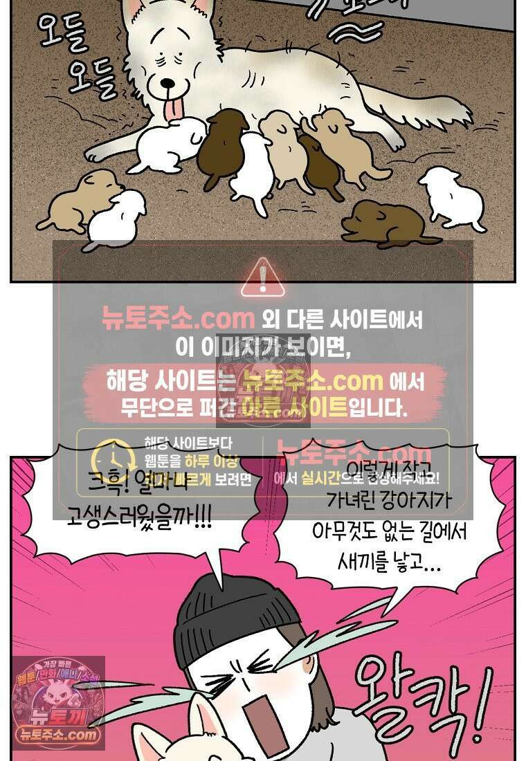 극한견주 시즌2 109화 숑이의 사연 8