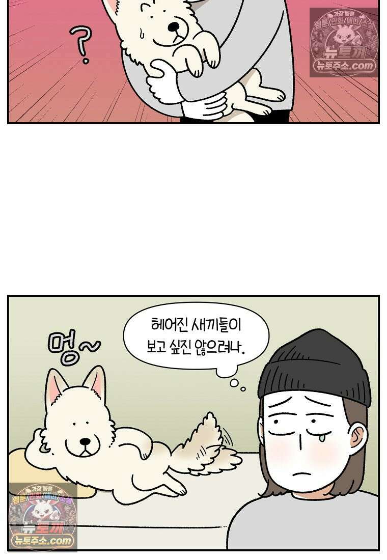 극한견주 시즌2 109화 숑이의 사연 9
