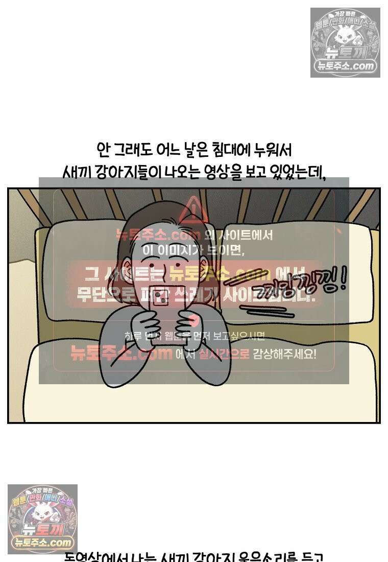 극한견주 시즌2 109화 숑이의 사연 10