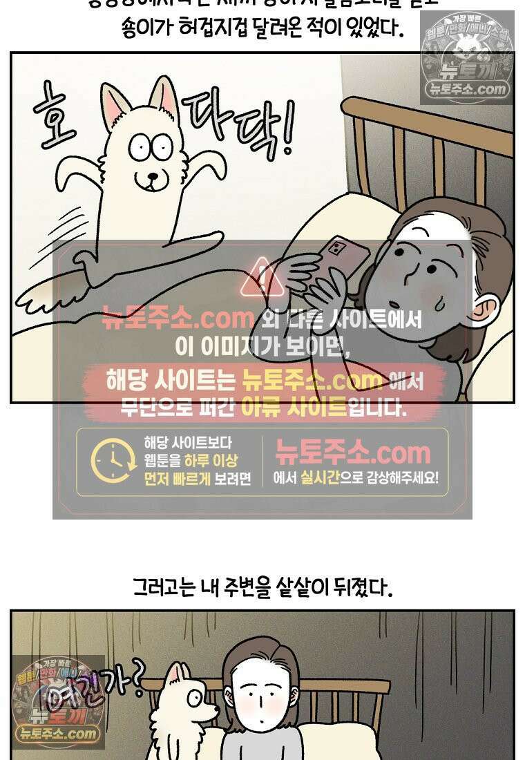 극한견주 시즌2 109화 숑이의 사연 11