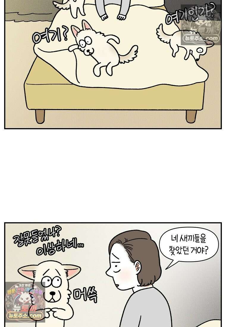 극한견주 시즌2 109화 숑이의 사연 12