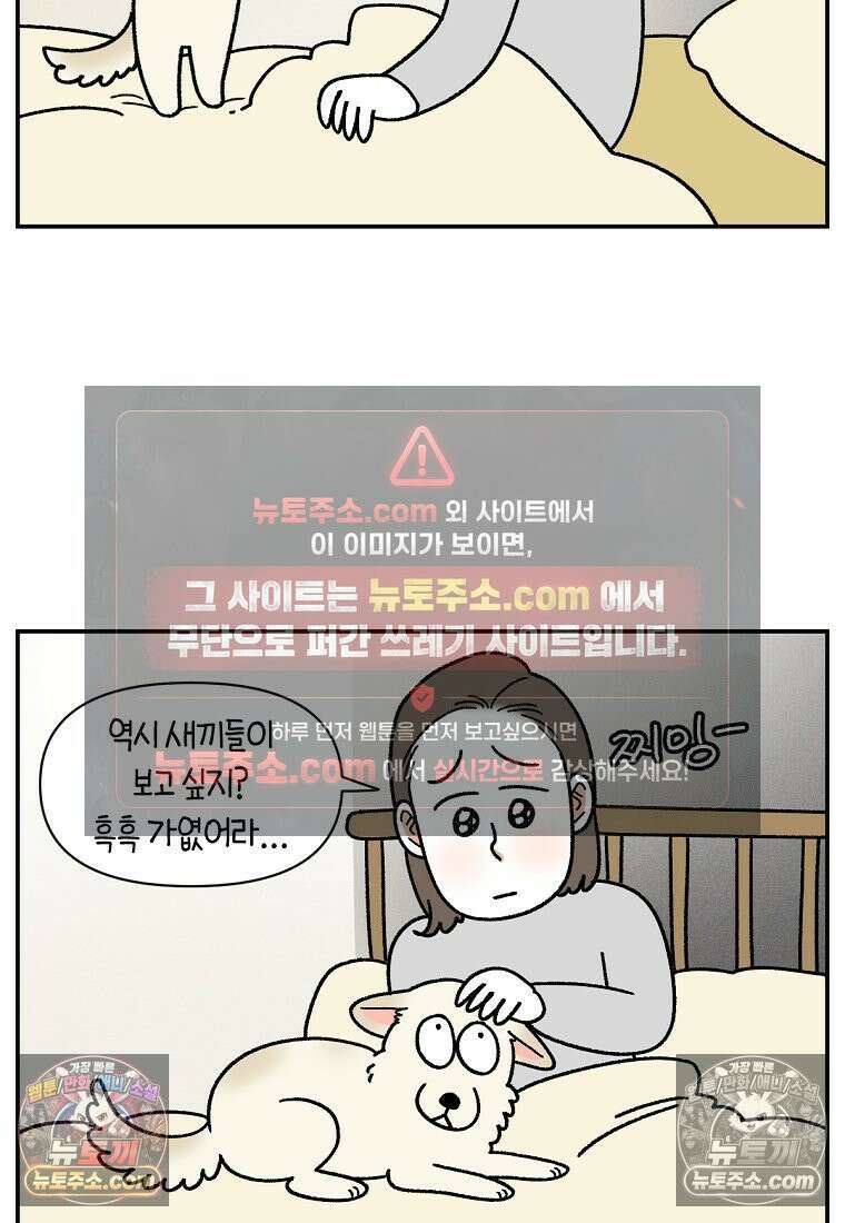 극한견주 시즌2 109화 숑이의 사연 13