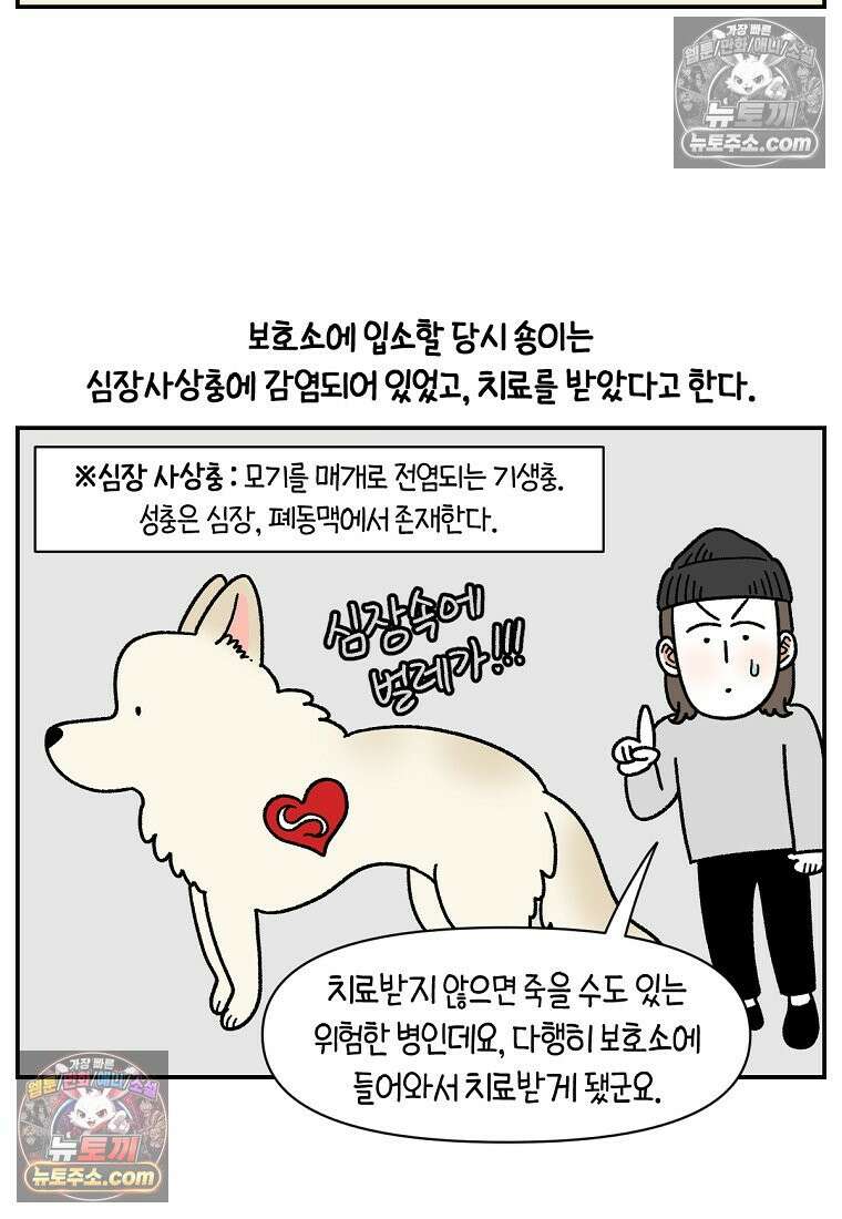 극한견주 시즌2 109화 숑이의 사연 14
