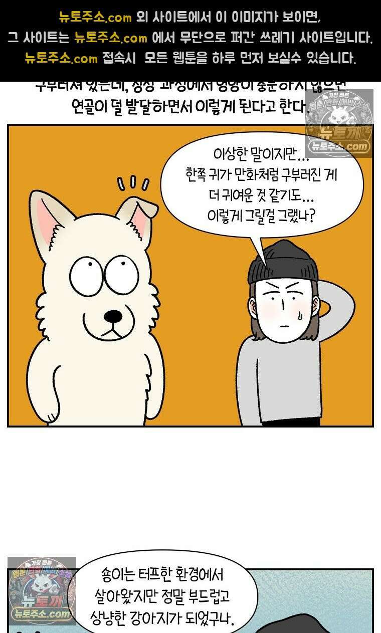 극한견주 시즌2 109화 숑이의 사연 16
