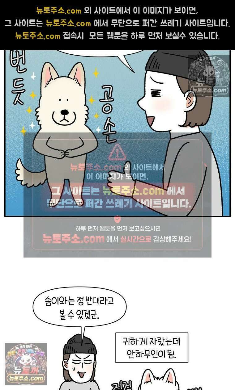 극한견주 시즌2 109화 숑이의 사연 17