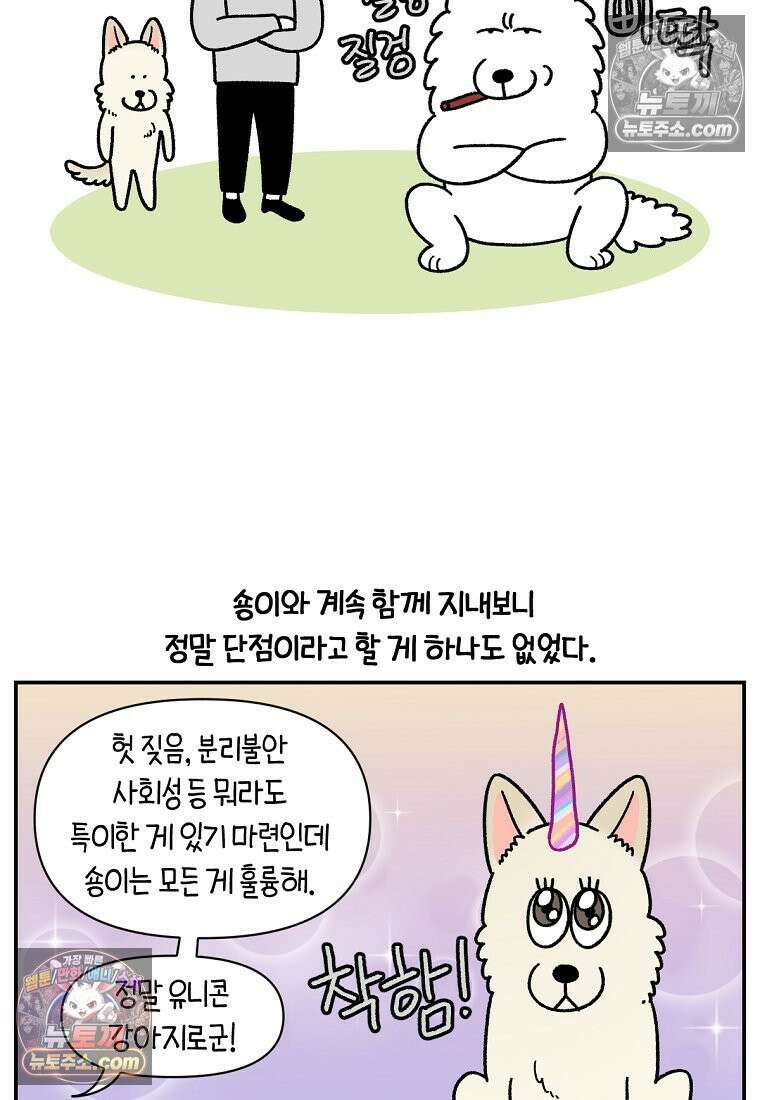 극한견주 시즌2 109화 숑이의 사연 18