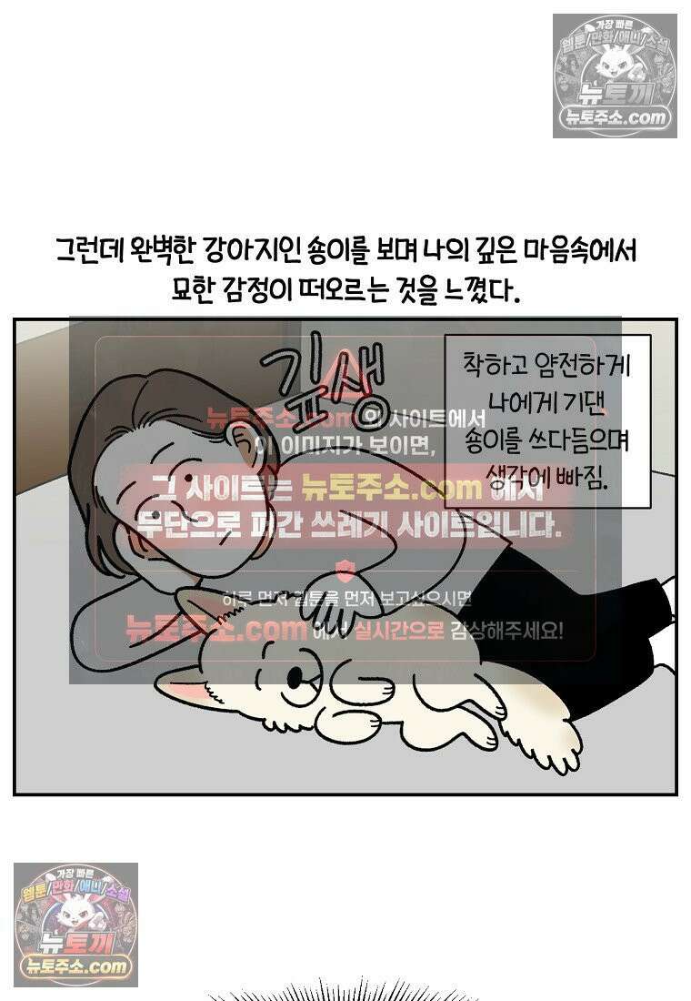 극한견주 시즌2 109화 숑이의 사연 20