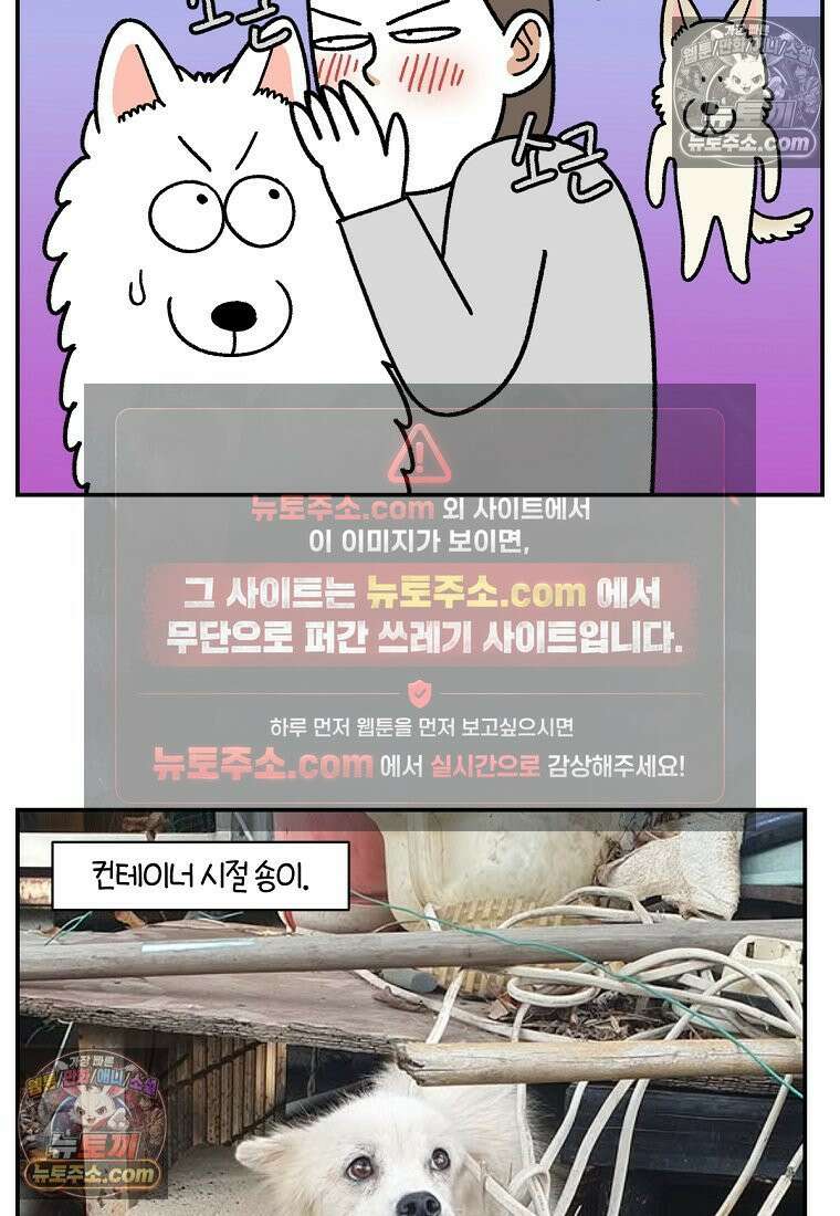 극한견주 시즌2 109화 숑이의 사연 24