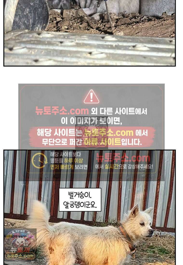 극한견주 시즌2 109화 숑이의 사연 26