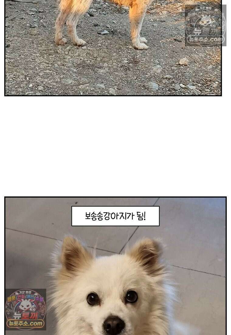 극한견주 시즌2 109화 숑이의 사연 27