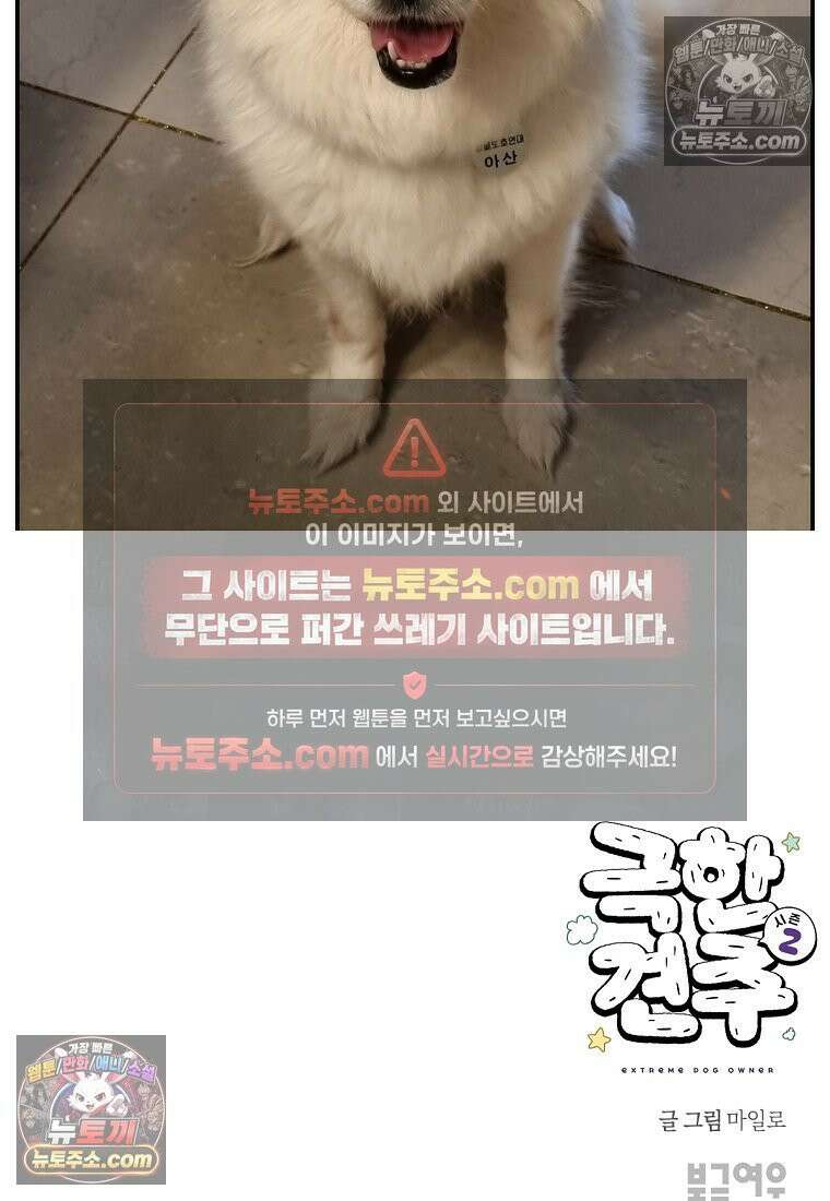 극한견주 시즌2 109화 숑이의 사연 28