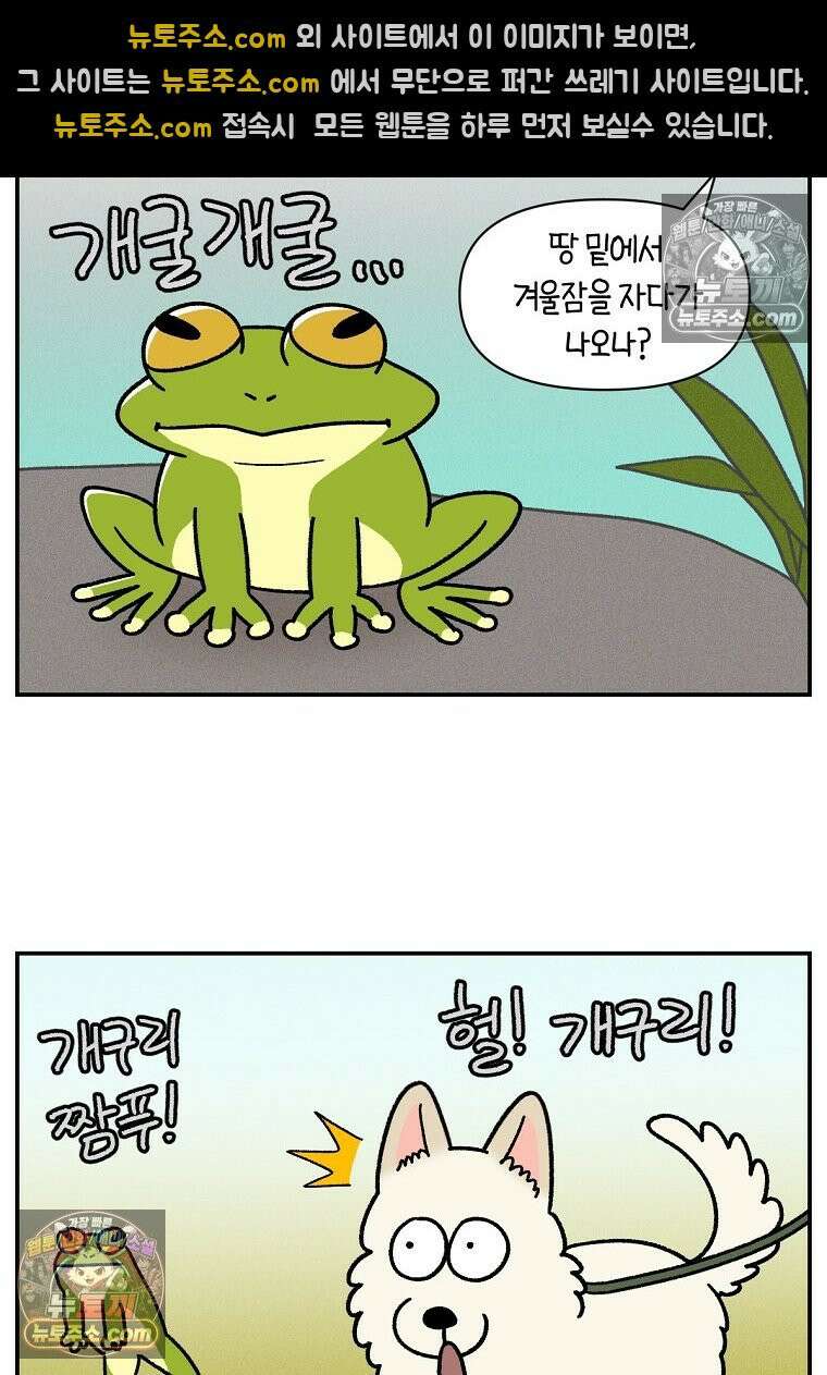 극한견주 시즌2 119화 개구리헌터 3