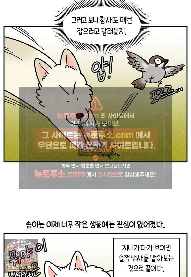 극한견주 시즌2 119화 개구리헌터 6