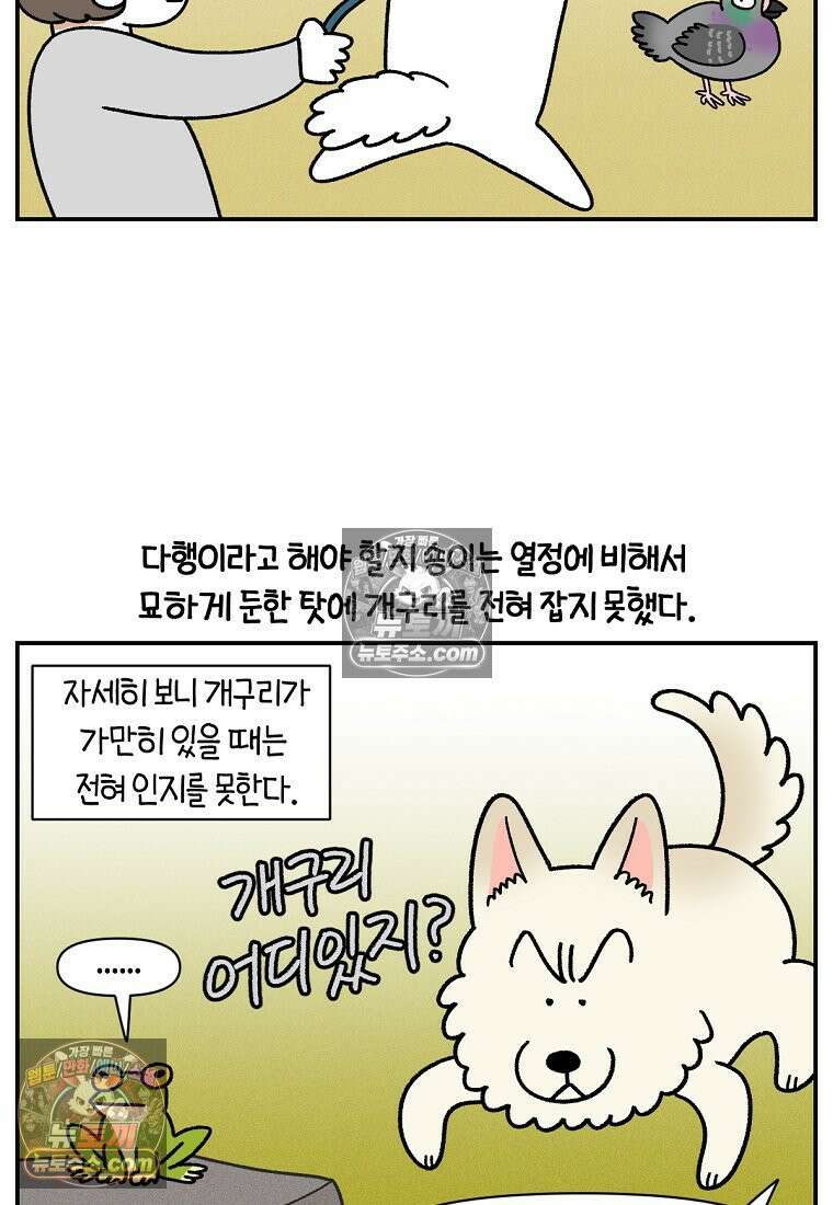 극한견주 시즌2 119화 개구리헌터 8