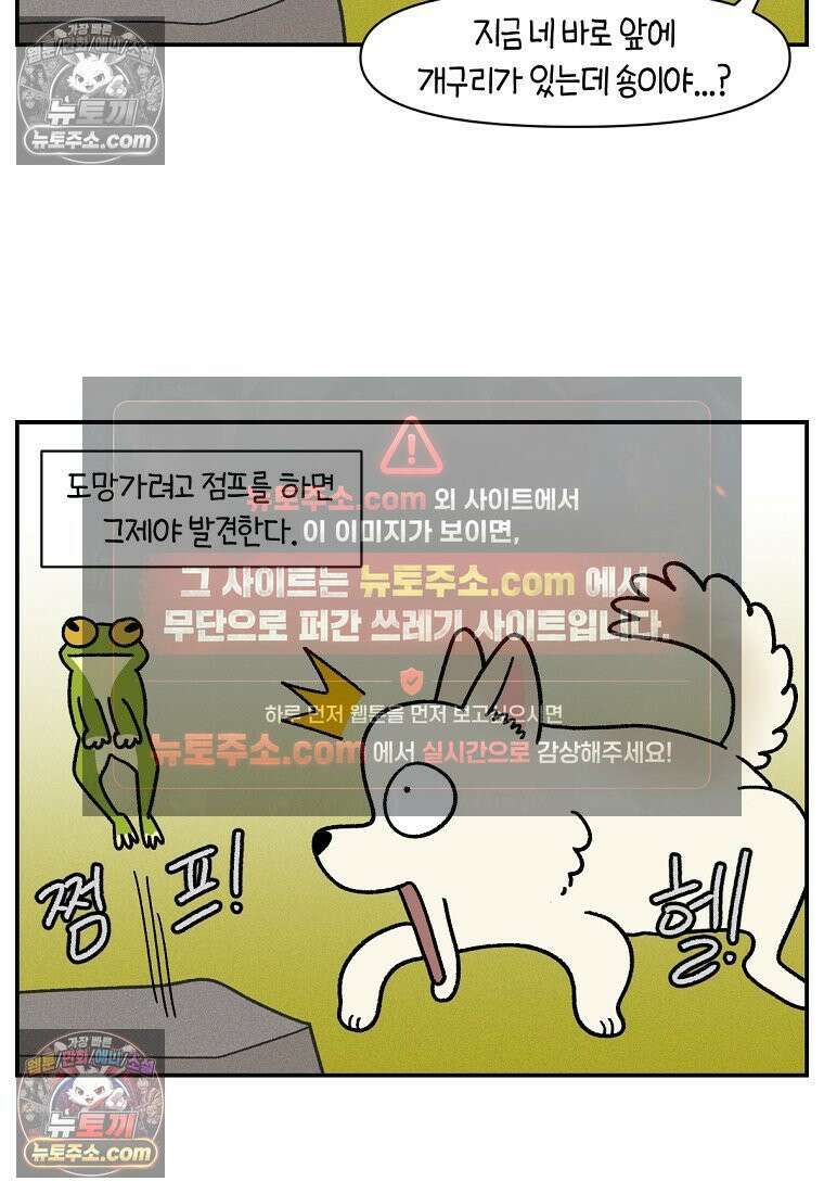 극한견주 시즌2 119화 개구리헌터 9