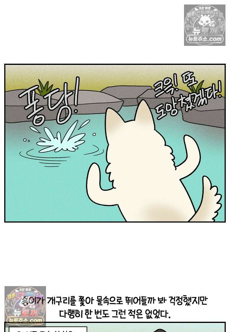 극한견주 시즌2 119화 개구리헌터 10