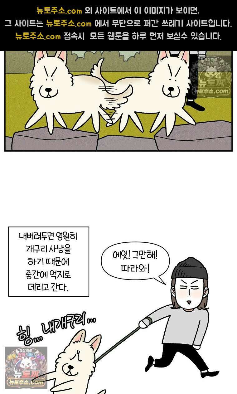 극한견주 시즌2 119화 개구리헌터 12