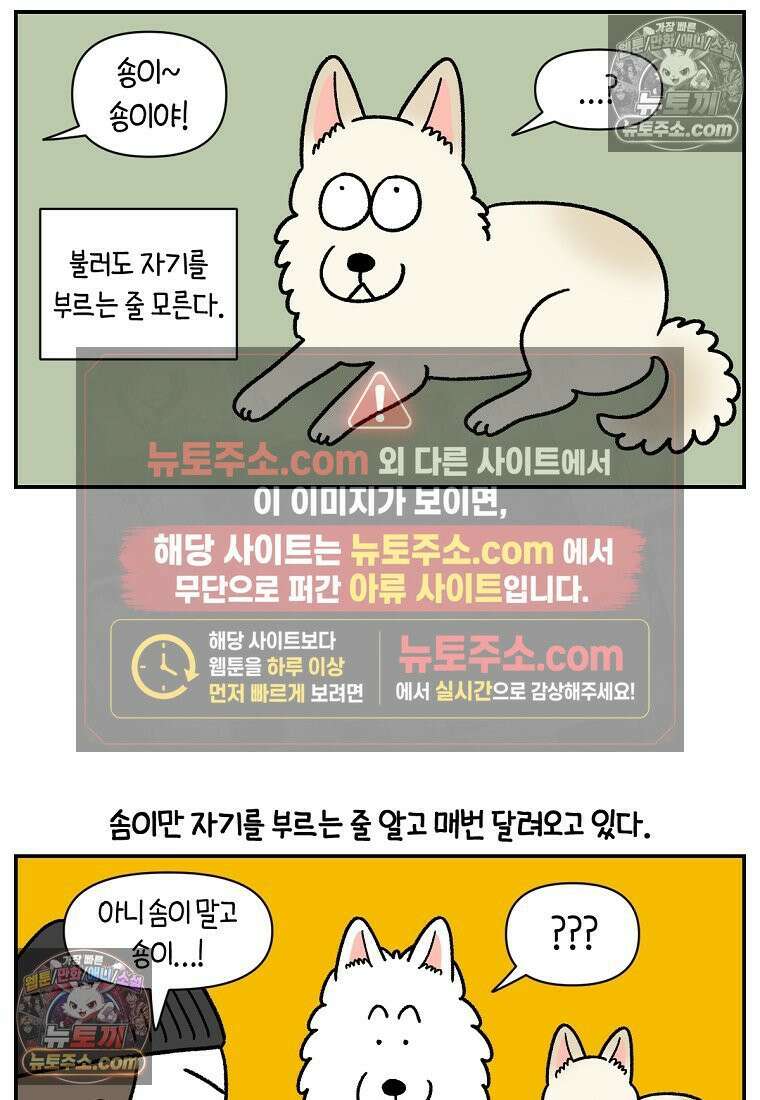 극한견주 시즌2 119화 개구리헌터 25