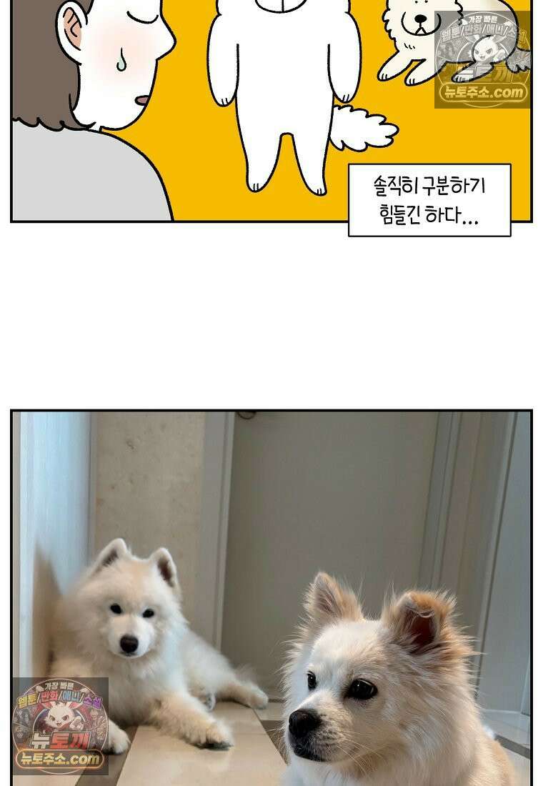 극한견주 시즌2 119화 개구리헌터 26