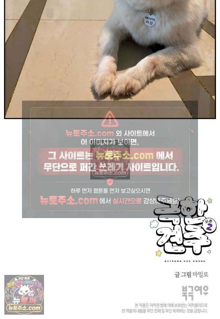극한견주 시즌2 119화 개구리헌터 27