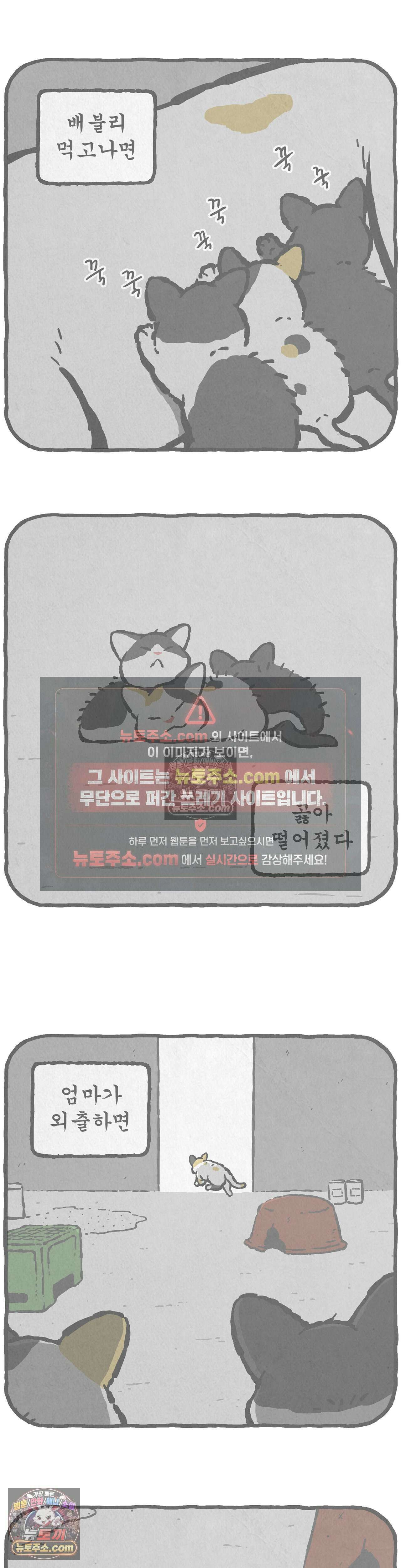 고로애옳 1화 6