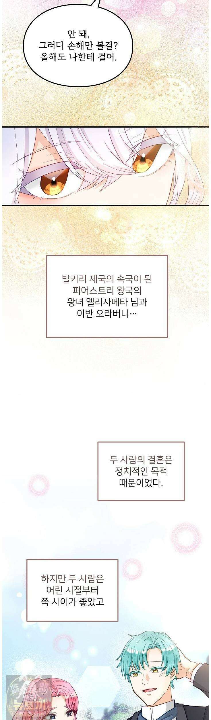 황녀 스베타의 정략결혼 41화 33