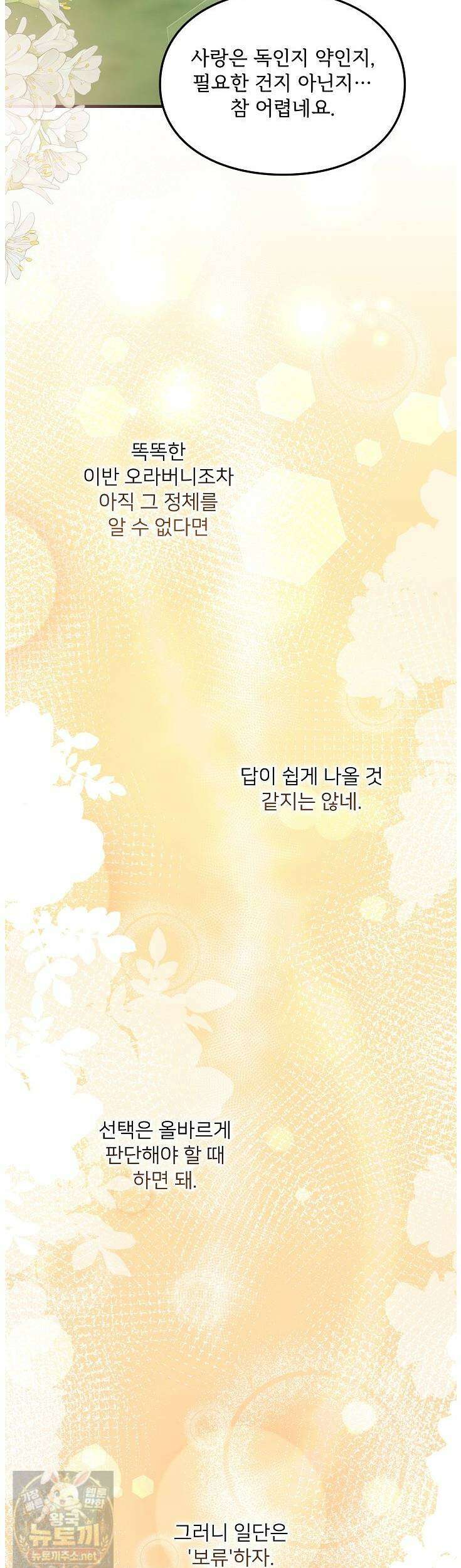 황녀 스베타의 정략결혼 41화 47
