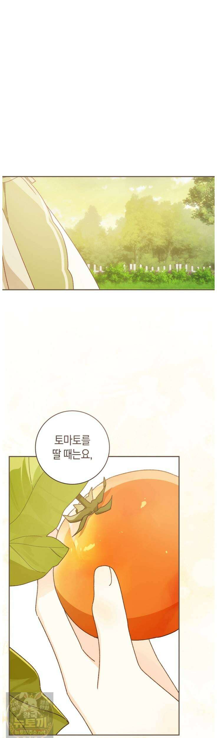 황제궁 옆 마로니에 농장 132화 33