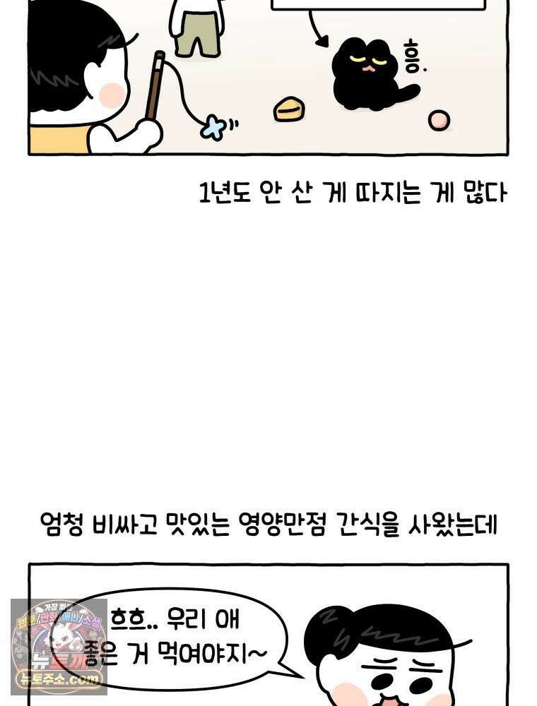 먼지 덩어리 짱덕 15． 깐깐 고양이 3