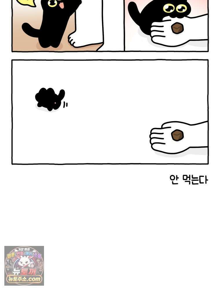 먼지 덩어리 짱덕 15． 깐깐 고양이 5