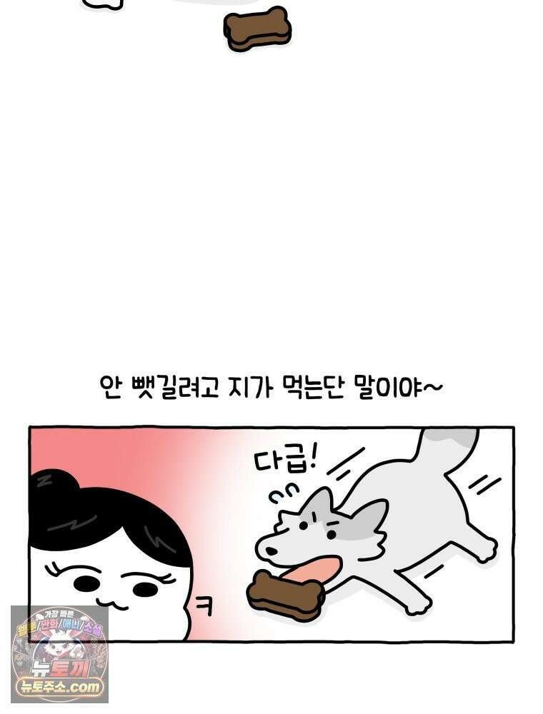 먼지 덩어리 짱덕 15． 깐깐 고양이 10