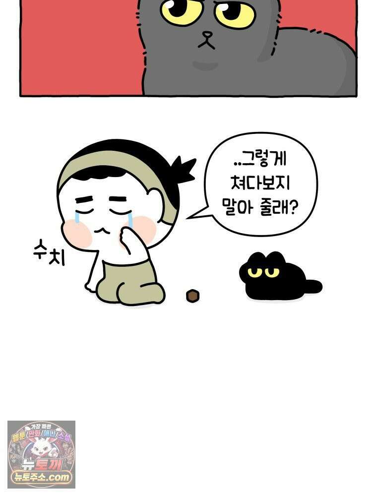 먼지 덩어리 짱덕 15． 깐깐 고양이 15