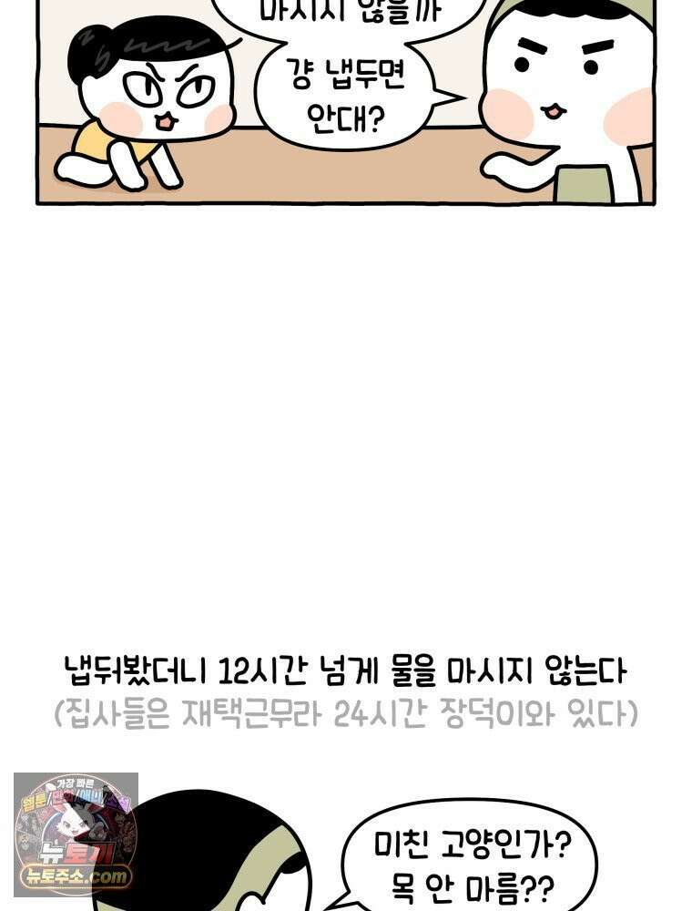 먼지 덩어리 짱덕 15． 깐깐 고양이 21